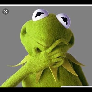 Meet your Posher, Phoebe